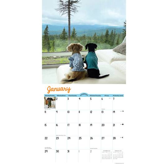 2023 Crusoe the Celebrity Dachshund Wall Calendar Michaels